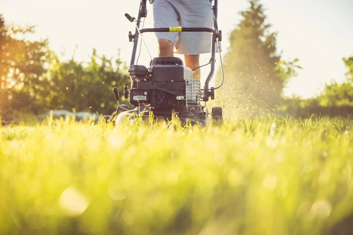 Lawn mower cutting neat stripes into a healthy natural grass lawn