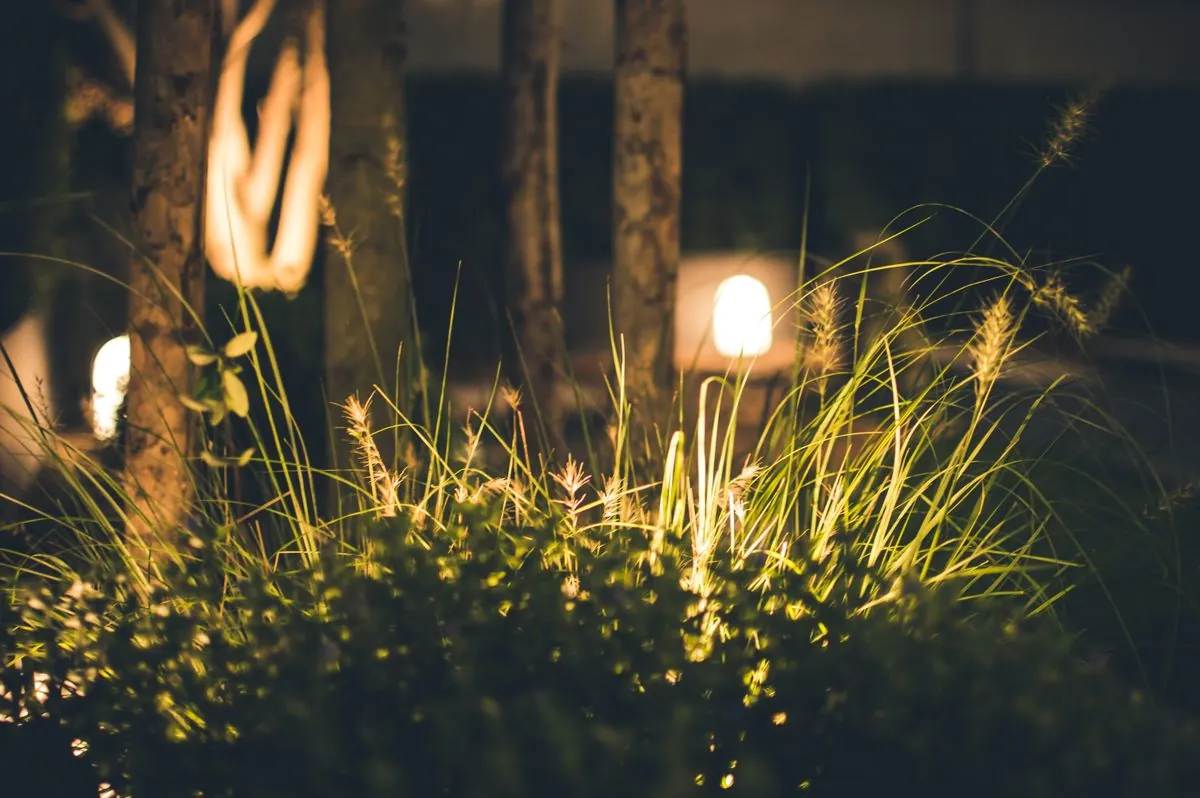 Warm 3000K LED path lights along a villa garden walkway at night in Dubai Hills Estate